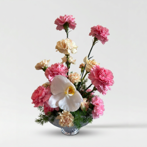 رقة الأوركيد Orchid Softness